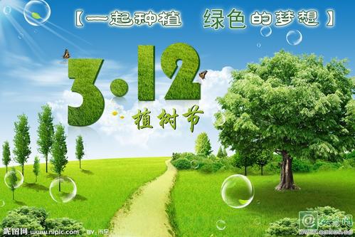 环保标语：植树节标语