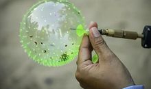 自动膨胀的气球实验作文