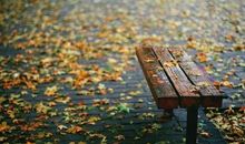 关于秋雨的诗句