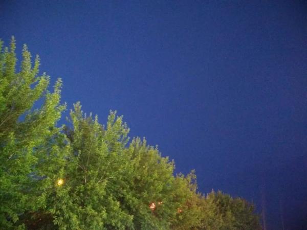 原创学生作文：《家风在我家》 1