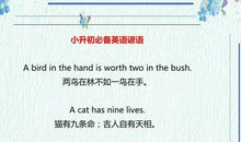 原来小学英语作文用这些句子能加分？太实用了！