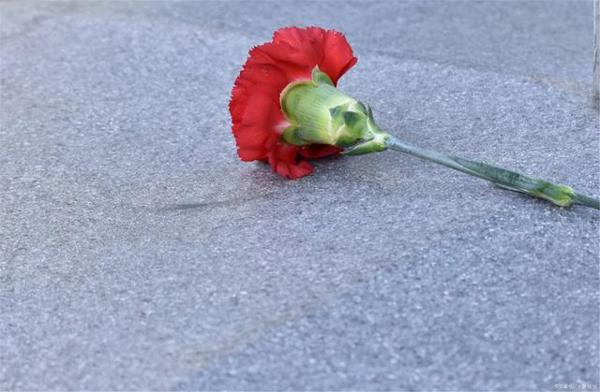 母亲节作文——令人骄傲的妈妈,样文+点评 2