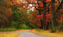 四年级作文：秋韵