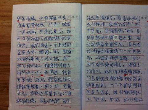 运动会 写事的作文350字