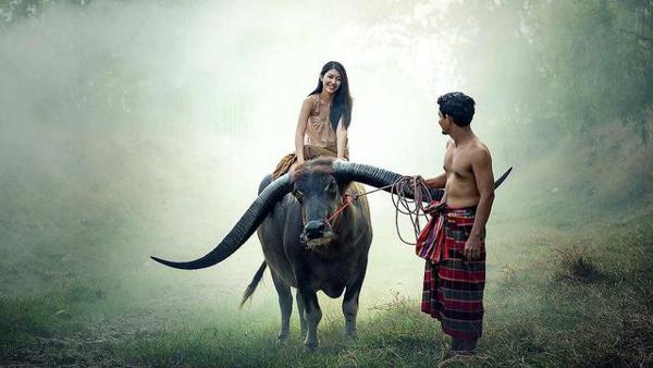 文明要往何处去——中根千枝的《未开的脸与文明的脸》读后感 3