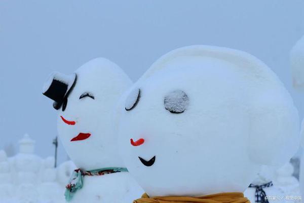 低年级获奖作文两篇:《摸雪》《和巨人赛跑》 2