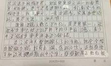 落地请关手机作文