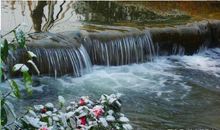 三年级作文：一条小河淙淙流过