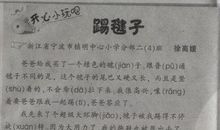 踢毽子比赛 写事的作文300字