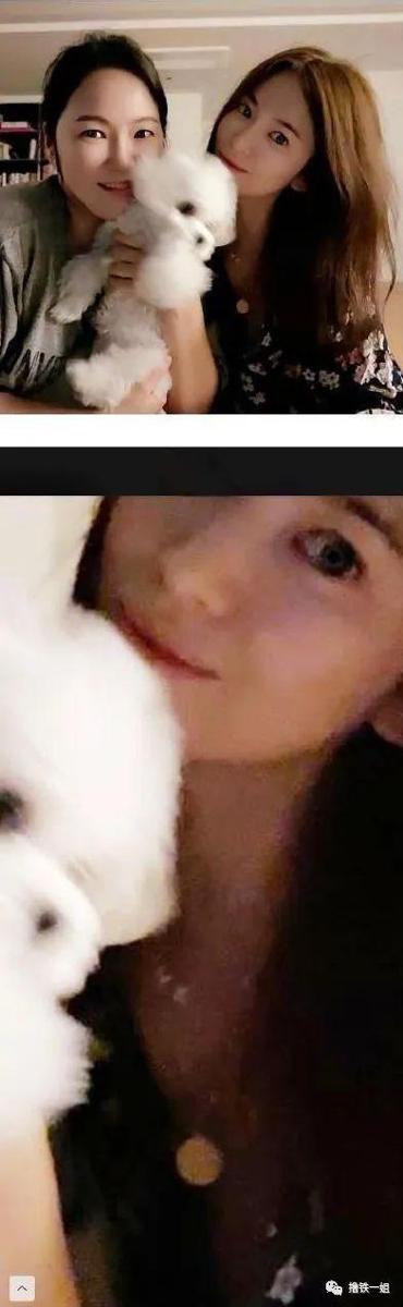 比起“男孩”罗志祥的土味爱情作文，宋慧乔和玄彬疑似复合更神奇 2