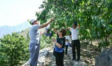 语文作文教学简单进阶：肖像描写