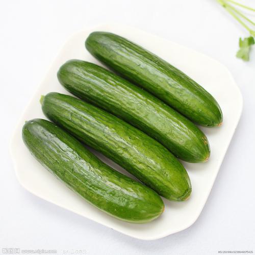 美味的咸黄瓜_600字