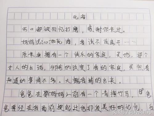 你不会被遗忘的作文