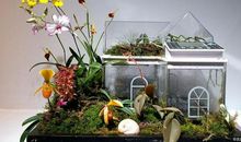 8份同步作文写作思路，让你轻松写好老师布置的任务，速速收藏