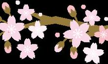 原创学生作文：《中考查分的紧张24小时》