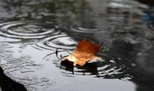 听雨 优秀记叙文800字