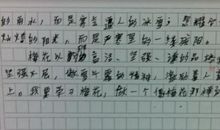 易老师 我的老师作文900字