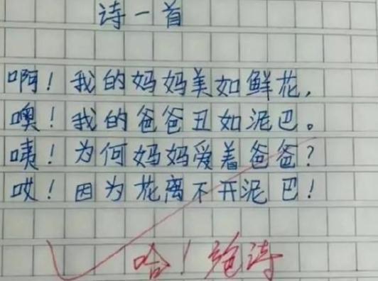 小学生一篇作文写了“9个字”,老师直接给100分,网友大呼有才 6