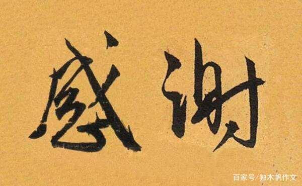 五年级作文:感谢