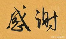 五年级作文：感谢