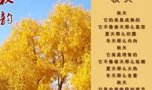 描写“秋天”的精选佳句