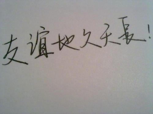 友情依然_800字