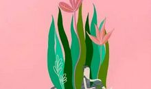 哲理故事：且慢下手