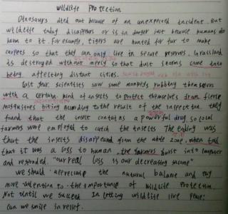 英语作文训练的三个阶段_2000字