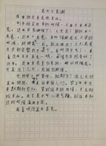 妈妈，请静等花开-写信的作文600字