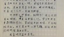 妈妈，请静等花开-写信的作文600字