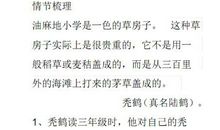 药寮中的外婆 初中记叙文600字