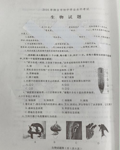 【2019中考示范作文】山东烟台：就该这么做