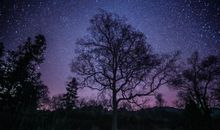 晨起心明・六月之夜_750字