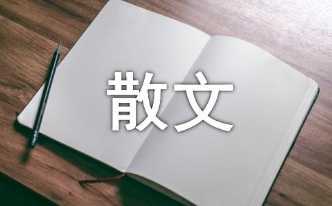品读崖上人的散文