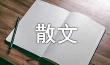 品读崖上人的散文