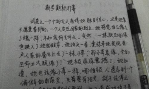 信念-信念的力量作文800字