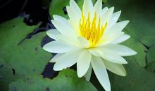 读君千万遍 破译玲珑心 ——王君系列著作读后感（一）