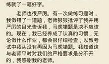 麦田里的外婆 难忘的回忆作文1200字