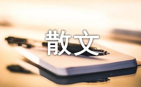 高一散文：故