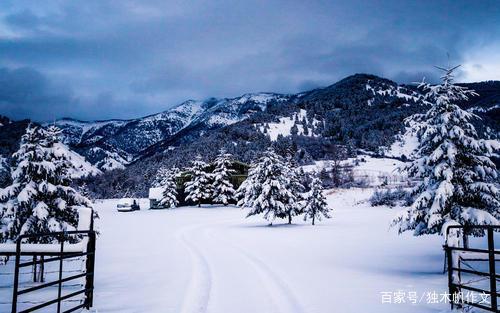 四年级作文:雪后的大自然