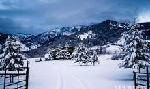 四年级作文：雪后的大自然