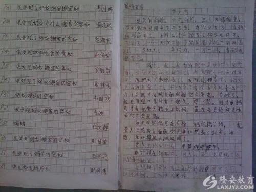 蚂蚁的启示-观察小蚂蚁作文500字