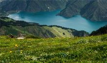 傣族史：傣族稻作文化的起源