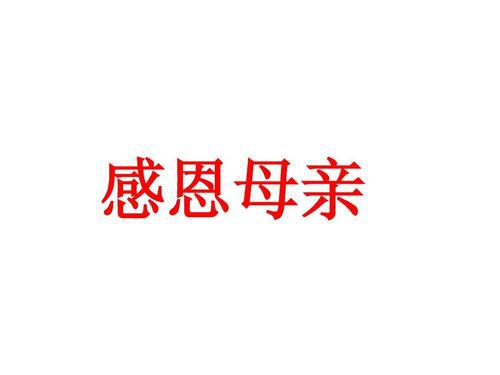 您是我最唯美的遇见-感恩母爱作文1200字