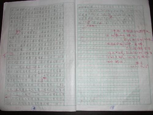 小学生打蟑螂作文500字