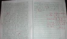 小学生打蟑螂作文500字