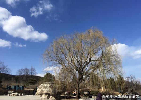 学习作文的基础招法,若能用心掌握,自己就能悟出作文提升之道 3