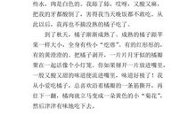 故乡的江畔 家乡一景作文700字