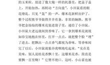 卖爆米花的老人 优秀写人作文600字