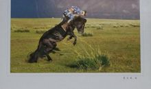 名人故事：偿值取马――烈马养到死_800字